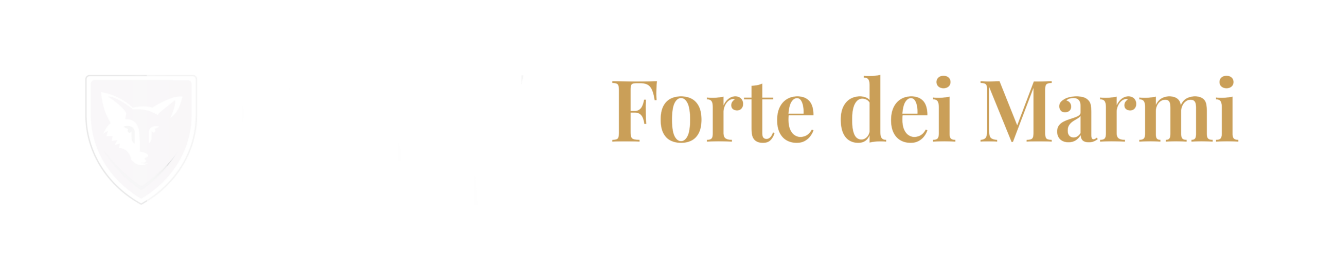 Security Forte dei Marmi Logo